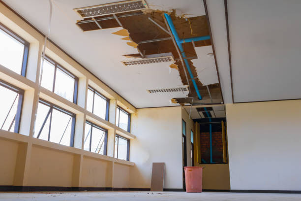 Best Water damage cleanup near me  in Bellaire, TX