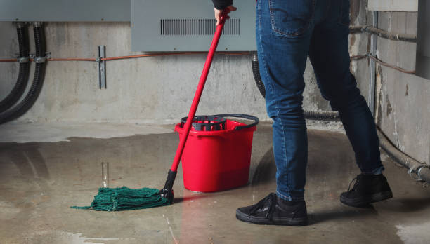 Best Commercial water damage restoration  in Bellaire, TX