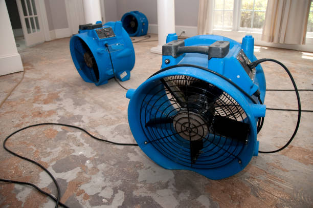 Best 24/7 water damage repair  in Bellaire, TX