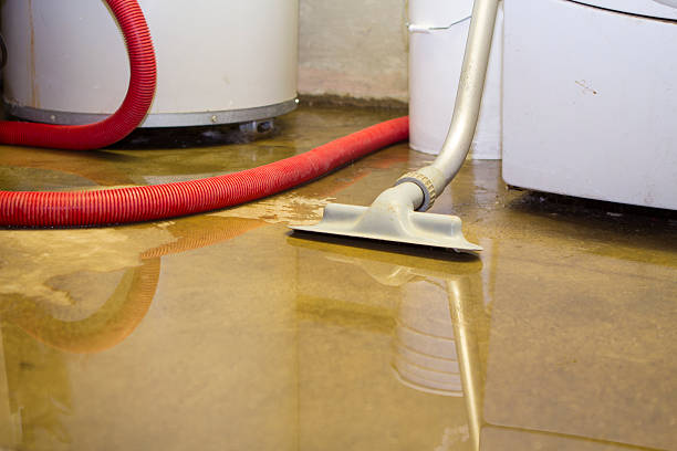 Best Water damage restoration near me  in Bellaire, TX
