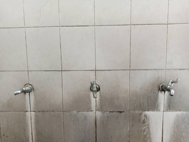 Best Professional water damage repair  in Bellaire, TX