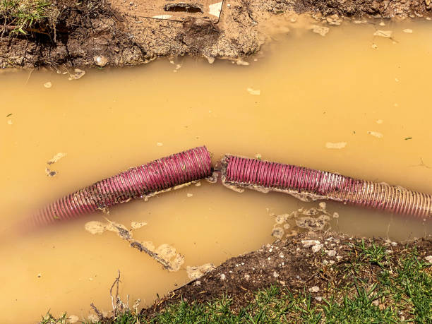 Professional Water damage restoration in Bellaire, TX